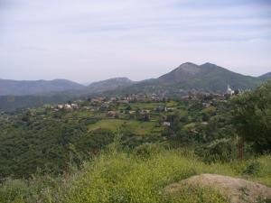 Beni amrane (la compagne)