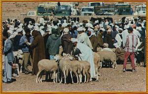marché hebdomadaire de vente de mouton