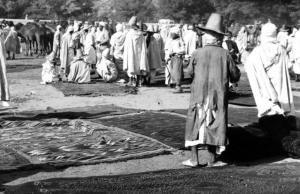 TREZEL(SOUGUEUR) le marché