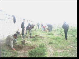 plantation à El Harmelia le 20-04-2007