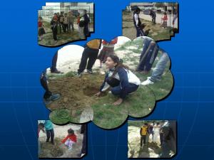 plantation à Ain M'lila saison 2007-2008