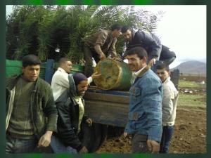 plantation à Ain M'lila saison 2007-2008