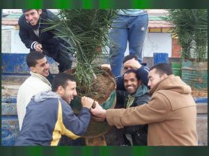 plantation à Ain M'lila saison 2007-2008