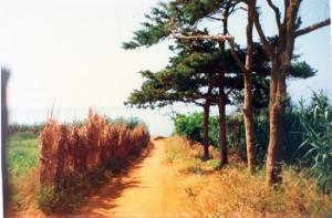 Paysage de Bou ismail