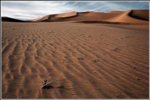 Paysage du désert d'Adrar