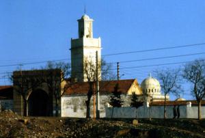 La mosquée et la porte d'Alger, Sour El Ghozlane