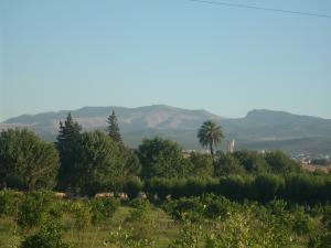 ville de guelma