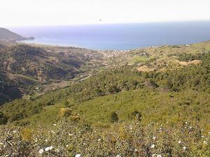 Paysage de Oued Goussine