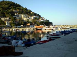 Le port de pêche de Collo