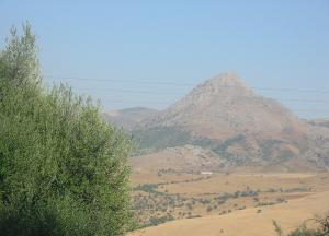Vue de la commune d'El Harrouch