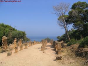 Ruines romaines à Tipaza