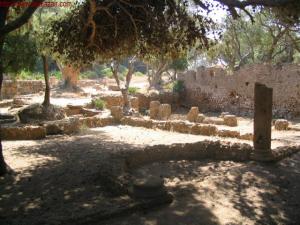 Ruines romaines à Tipaza