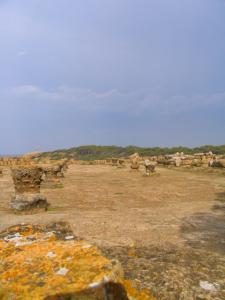 Ruines romaines à Tipaza