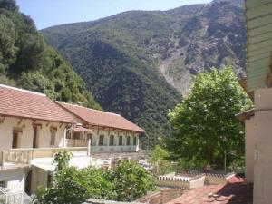 Le ruisseau des singes à la chiffa