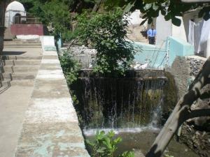 Le ruisseau des singes à la chiffa