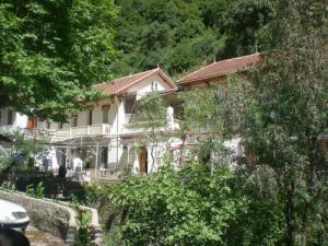 Le ruisseau des singes à la chiffa