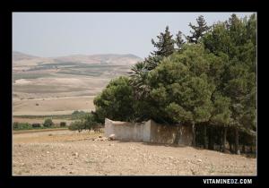Marabout entre Ain Tolba et Sidi Safi