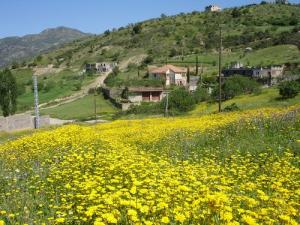 Tala-Tazerth Région de Seddouk