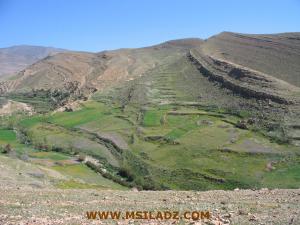 Vue sur la commune de Maadid