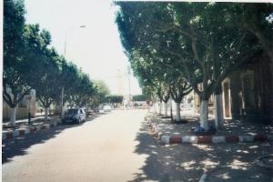 MOUZAIA - Rue Masker Ali (ex rue de la gare)