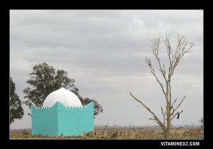 Wali au cimetière de Ain Oussara