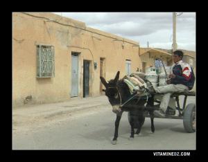 Transport traditionnel