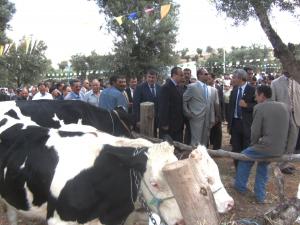 3°salon de la vache laitière el-madher