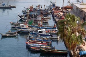 Vue sur le port de pêche d'Alger