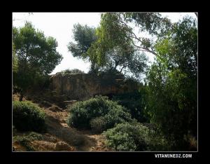 Khalwa de Sidi Lakhdar Bakhelouf, sur la route vers son Darih