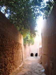 Ghardaia, Enceinte d'une Palmeraie