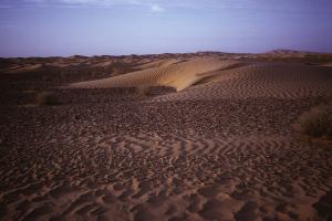 Ghardaïa - Paysage de El Golea