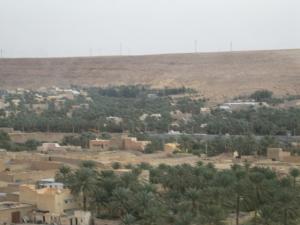 Palmeraies de Ghardaia