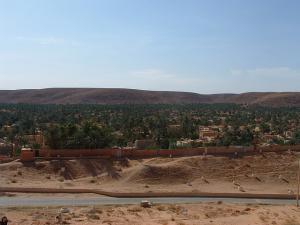 Palmeraie de Ghardaïa
