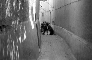 Un quartier de Ghardaia