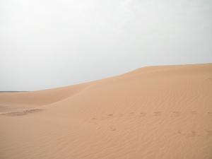 Dune de Golea à Ghardaia