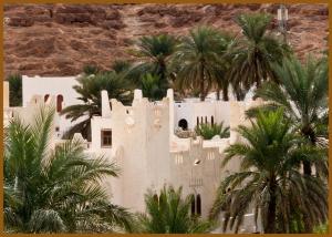 Maison dans la Palmeraie-Ghardaia