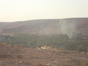 Une Palmeraie de Ghardaia