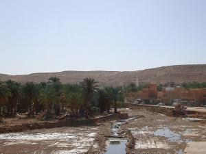 Une Palmeraie de Gherdaia