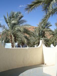Un Ksar près d'une Palmeraie à Ghardaia