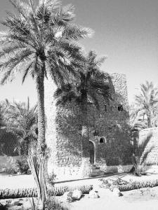 Un Ksar de Ghardaïa