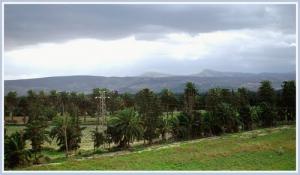 Champs agricoles de Relizane
