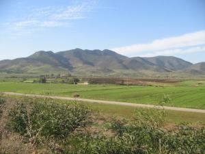 Plaine près de Relizane