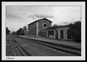 Gare Ferroviaire  - Djiouia ( Relizane )