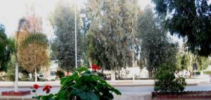 Boulvard ALN Relizane