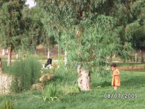 Verdure et fraicheur en été... à Relizane !!!
