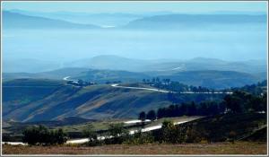 Paysage de la commune Sidi M'hamed Ben Ali à Relizane