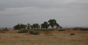 Commune de Sidi Khatab (Relizane)