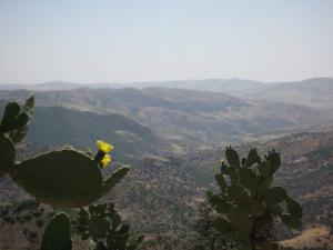 Montagnes de Relizane