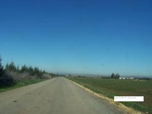 Route de la commune de Oued el Djemaà à Relizane