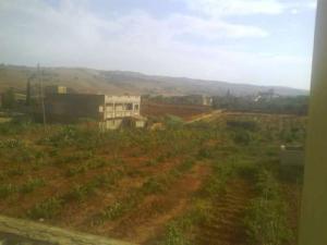 Agriculture dans la périphérie de Relizane